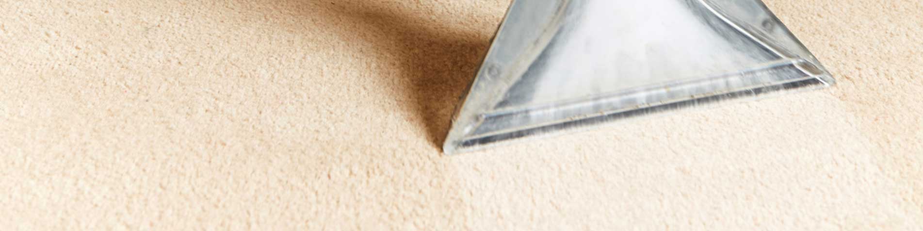 Carpet being cleaned Carpet being cleaned